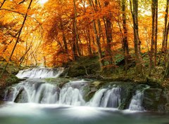 Fototapeta330 x 244  forest waterfall, 330 x 244 cm
