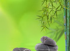 Samolepka flie 100 x 73, 63091641 - dcor relaxant zen asiatique : bambou et galets - dcor relaxant zen asiatique: bambou et galets