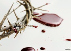 Fototapeta160 x 116  Drops of Blood, 160 x 116 cm
