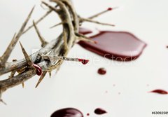 Fototapeta184 x 128  Drops of Blood, 184 x 128 cm