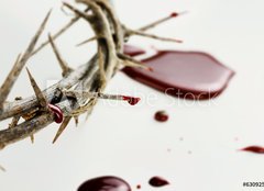 Fototapeta254 x 184  Drops of Blood, 254 x 184 cm
