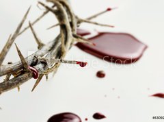 Samolepka flie 270 x 200  Drops of Blood, 270 x 200 cm