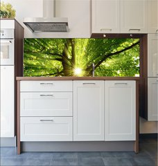 Fototapeta do kuchyn flie 180 x 60  Sonne strahlt explosiv durch den Baum, 180 x 60 cm