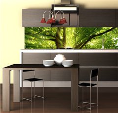 Fototapeta do kuchyn flie 260 x 60  Sonne strahlt explosiv durch den Baum, 260 x 60 cm