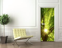 Samolepka na dvee flie 90 x 220  Sonne strahlt explosiv durch den Baum, 90 x 220 cm