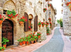 Samolepka flie 100 x 73, 63262540 - Picturesque lane with flowers in an Italian hill town - Malebn pruhy s kvtinami v italskm kopcovitm mst