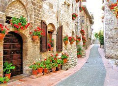 Fototapeta pltno 160 x 116, 63262540 - Picturesque lane with flowers in an Italian hill town