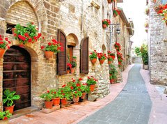 Fototapeta270 x 200  Picturesque lane with flowers in an Italian hill town, 270 x 200 cm