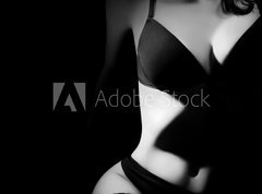 Samolepka flie 270 x 200  Nude woman erotic, 270 x 200 cm