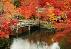 Fototapeta145 x 100  Autumn foliage at Eikando Temple in Kyoto, Japan, 145 x 100 cm