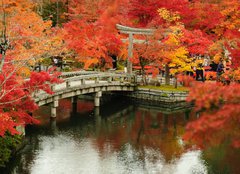 Fototapeta pltno 160 x 116, 63969080 - Autumn foliage at Eikando Temple in Kyoto, Japan