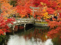 Samolepka flie 270 x 200, 63969080 - Autumn foliage at Eikando Temple in Kyoto, Japan - Podzimn list v chrmu Eikando v Kjtu, Japonsko