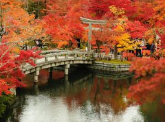 Fototapeta270 x 200  Autumn foliage at Eikando Temple in Kyoto, Japan, 270 x 200 cm