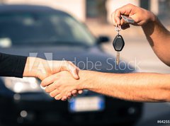 Samolepka flie 270 x 200, 64255757 - car sales - prodej automobil