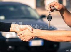 Fototapeta pltno 330 x 244, 64255757 - car sales