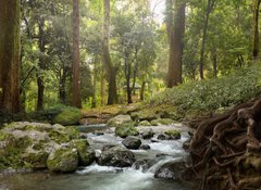 Samolepka flie 100 x 73, 64308418 - forest waterfall