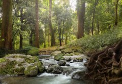 Fototapeta145 x 100  forest waterfall, 145 x 100 cm