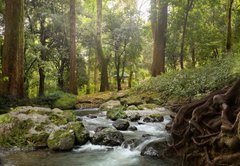 Fototapeta pltno 174 x 120, 64308418 - forest waterfall