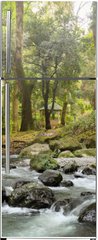 Samolepka na lednici flie 80 x 200, 64308418 - forest waterfall