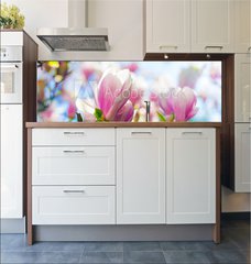 Fototapeta do kuchyn flie 180 x 60, 64325812 - Beautiful blossoming magnolia tree in the spring time