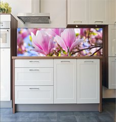 Fototapeta do kuchyn flie 180 x 60, 64325849 - Beautiful blossoming magnolia tree in the spring time