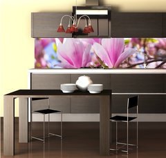 Fototapeta do kuchyn flie 260 x 60, 64325849 - Beautiful blossoming magnolia tree in the spring time