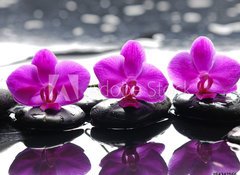 Samolepka flie 100 x 73, 64342566 - Three orchid flower and stones with reflection in water drops - Ti orchidejov kvtiny a kameny s odrazem ve vodnch kapkch