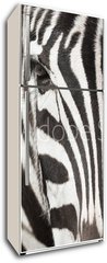 Samolepka na lednici fólie 80 x 200, 64489568 - Close-up of zebra head and body with beautiful striped pattern - Zavřít