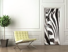 Samolepka na dvee flie 90 x 220, 64489568 - Close-up of zebra head and body with beautiful striped pattern