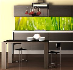 Fototapeta do kuchyn flie 260 x 60, 64529085 - Fresh green grass with dew drops closeup. Soft Focus