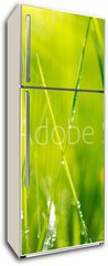 Samolepka na lednici flie 80 x 200, 64529085 - Fresh green grass with dew drops closeup. Soft Focus