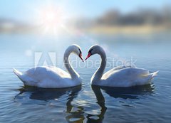 Samolepka flie 200 x 144, 64665016 - Swans on blue lake water in sunny day - Labut na modr jezero v slunench dnech