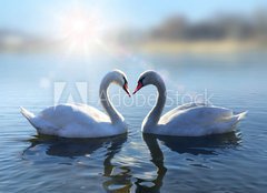 Fototapeta254 x 184  Swans on blue lake water in sunny day, 254 x 184 cm