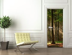 Samolepka na dvee flie 90 x 220, 64670682 - autumn forest trees. nature green wood sunlight backgrounds. - podzimn lesn stromy. proda zelen devo slunen svtlo pozad.