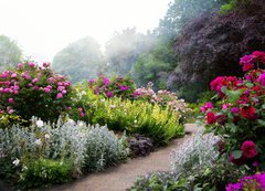 Samolepka flie 200 x 144, 64687273 - Art flowers in the morning in an English park - Umn kvtiny rno v anglickm parku