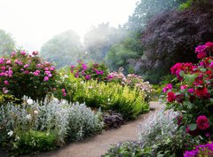 Fototapeta360 x 266  Art flowers in the morning in an English park, 360 x 266 cm