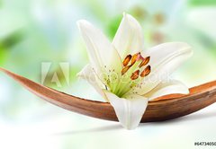 Fototapeta pltno 174 x 120, 64734050 - Beautiful white lily flower on a coco palm leaf