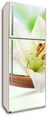 Samolepka na lednici flie 80 x 200, 64734050 - Beautiful white lily flower on a coco palm leaf