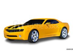 Samolepka flie 145 x 100, 6489190 - Yellow Sports Car