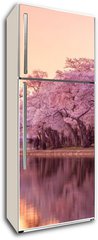 Samolepka na lednici flie 80 x 200, 64932334 - the Jefferson Memorial during the Cherry Blossom Festival