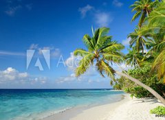 Samolepka flie 100 x 73, 64951147 - Strand mit Palmen