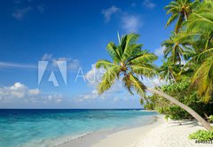 Fototapeta pltno 174 x 120, 64951147 - Strand mit Palmen