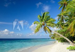 Fototapeta papr 184 x 128, 64951147 - Strand mit Palmen