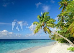 Fototapeta pltno 240 x 174, 64951147 - Strand mit Palmen
