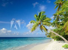 Fototapeta pltno 330 x 244, 64951147 - Strand mit Palmen
