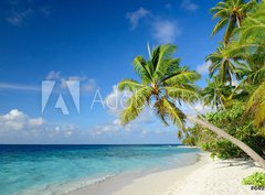 Fototapeta papr 360 x 266, 64951147 - Strand mit Palmen