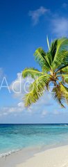 Samolepka na dvee flie 90 x 220, 64951147 - Strand mit Palmen