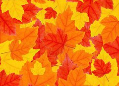 Fototapeta160 x 116  autumn leaves, 160 x 116 cm
