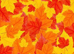 Fototapeta plátno 160 x 116, 6504633 - autumn leaves - podzimní listí