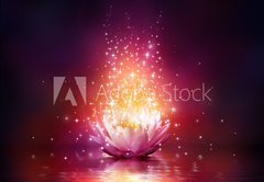 Samolepka flie 145 x 100, 65113816 - magic flower on water